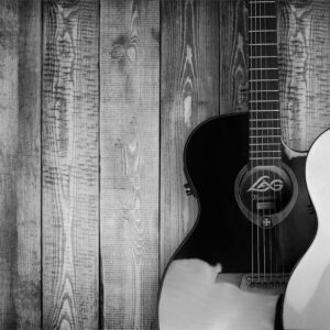 two grayscale acoustic guitars